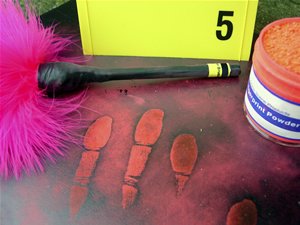 Fingerprints for Forensic Section.jpg